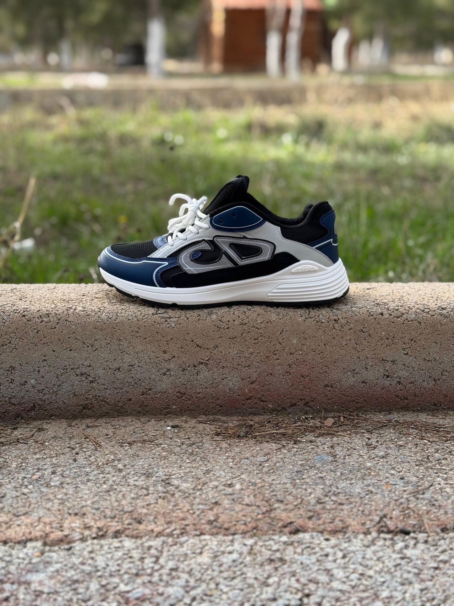 chaussure Dior B30